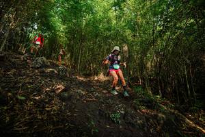 BIB: 
                            <button type="button" onclick="openModal(25099750)" class="btn btn-primary btn-sm float-right btn-popup" data-toggle="modal" data-target=".modal-high-quality">
                        <i class="fas fa-shopping-cart"></i> Add to Cart
                    </button>
                                            <button type="button" onclick="isThisMe(25099750, true)" class="btn btn-success btn-sm float-right btn-popup btn-isme hidden" data-toggle="tooltip" data-placement="bottom" title="นี่คือรูปของคุณใช่ไหม คลิกที่นี่เพื่อเอาเข้าอัลบั้ม">
                        <i class="fas fa-plus"></i> Add to album
                    </button>
                    <button type="button" onclick="isThisMe(25099750, false)" class="btn btn-warning btn-sm float-right btn-popup btn-isnotme hidden">
                        <i class="fas fa-ban"></i> Remove from album
                    </button>